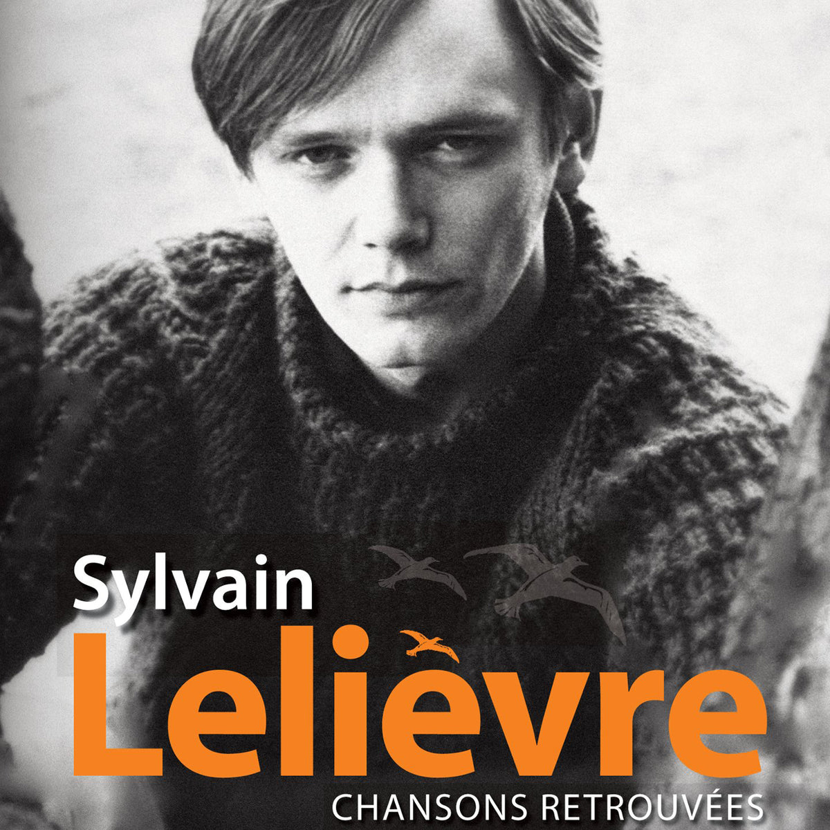 Chansons retrouvées - Sylvain Lelièvre - Numérique