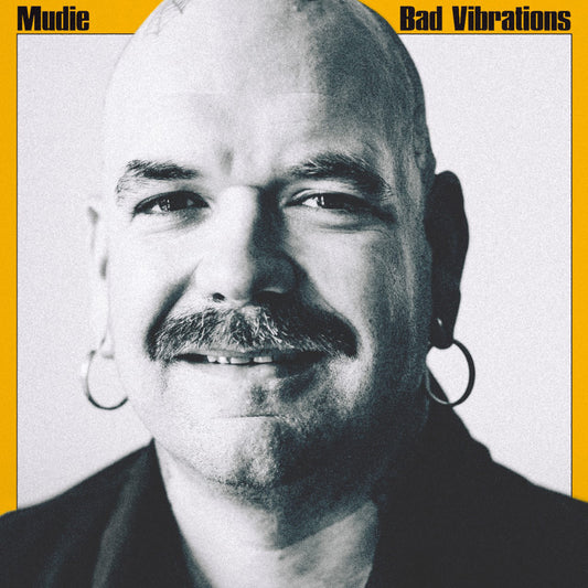 Bad Vibrations - Mudie - Numérique