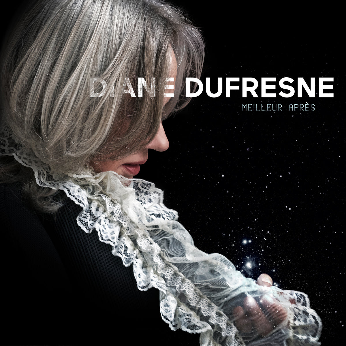 Meilleur après - Diane Dufresne - CD